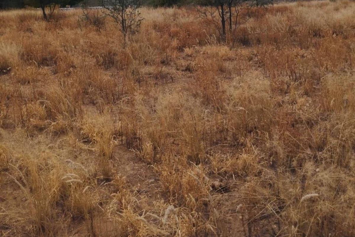 Omeya Golf Estate:  Plot For Sale - Photo 2