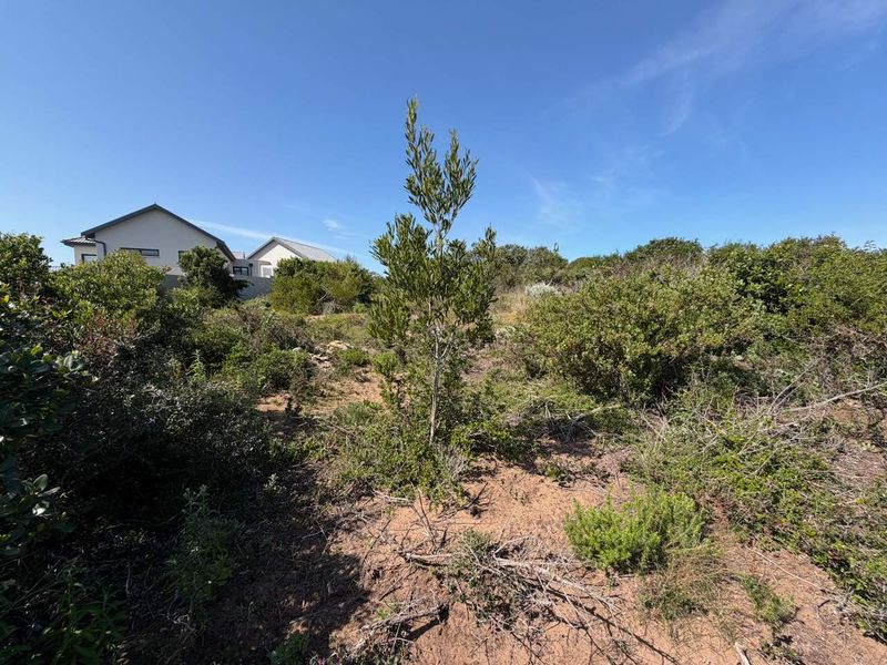 A view of a vacant residential plot featuring natural indigenous vegetation and sandy terrain with neighboring properties visible in the background.