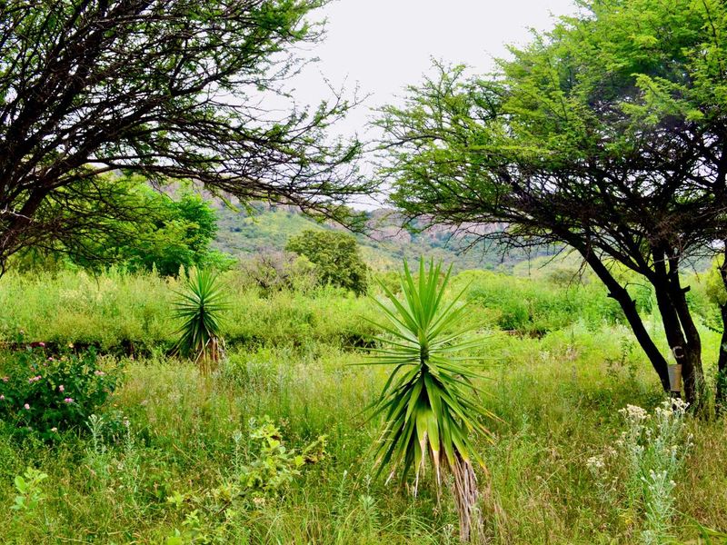 ***7ha Bushveld Property with Equestrian Facilities & Multiple Income Possibilities – Kameeldrift West | Under R3m*** - Photo 7