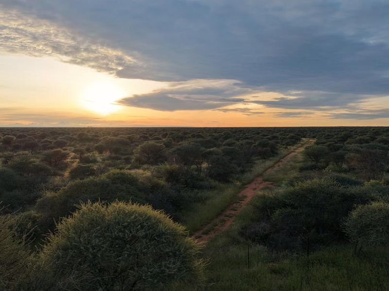 Hochfeld Dream Farms: Last Phase Almost Sold Out! - Photo 10