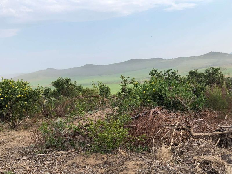 Nature Lover's Haven: Private Reserve & Wildlife at Your Doorstep - Photo 8