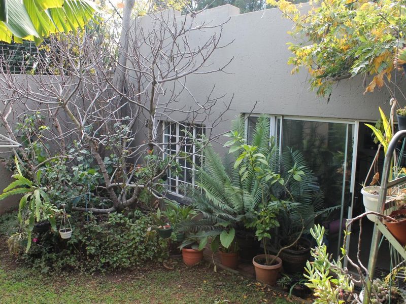 A rear garden area featuring a plastered boundary wall, sliding glass door access, and a grid-pattern window.