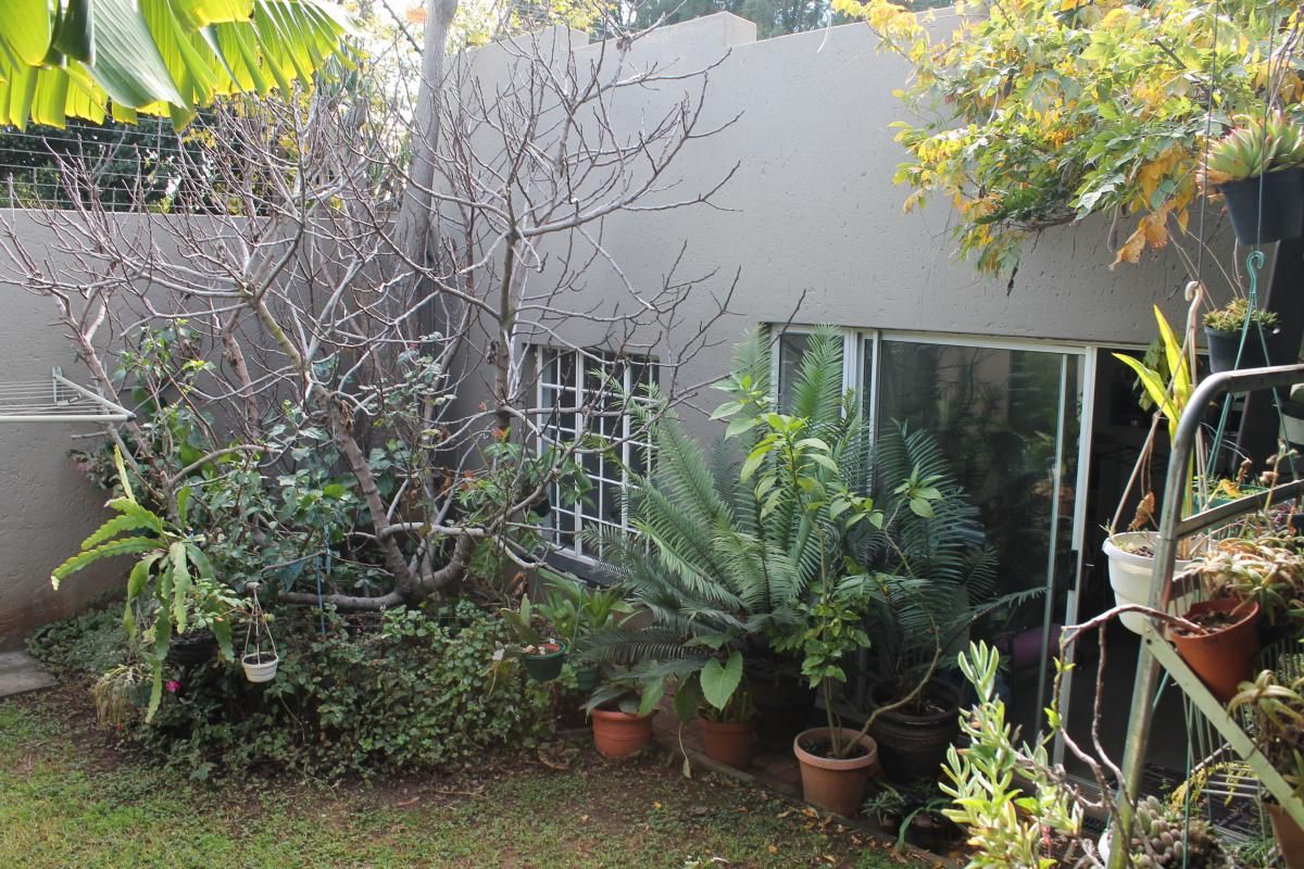 A rear garden area featuring a plastered boundary wall, sliding glass door access, and a grid-pattern window.
