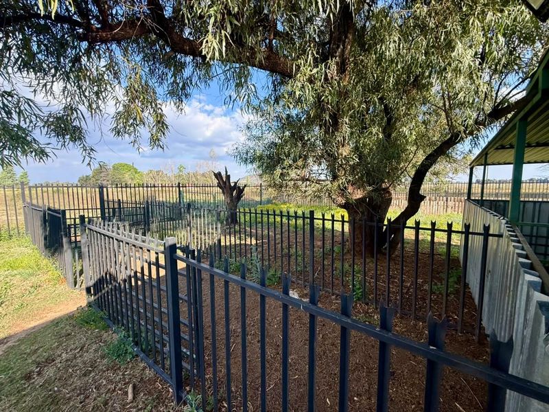 A fenced outdoor garden area featuring mature trees and corrugated metal structures on a farm property.
