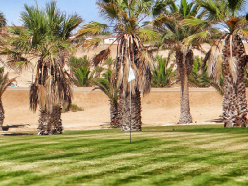 HENTIES BAY LIFESTYLE ESTATE - Photo 5