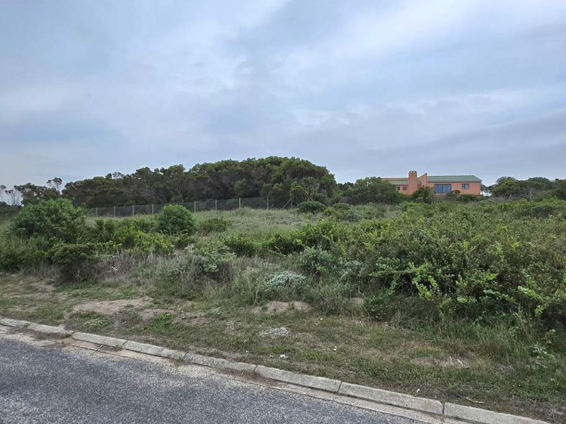 Elevated Stand with Excellent Investment Potential - Photo 3