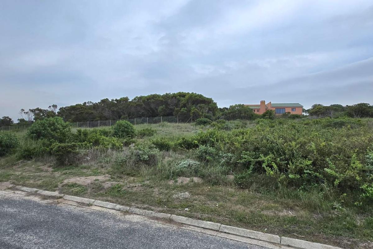 Elevated Stand with Excellent Investment Potential - Photo 3