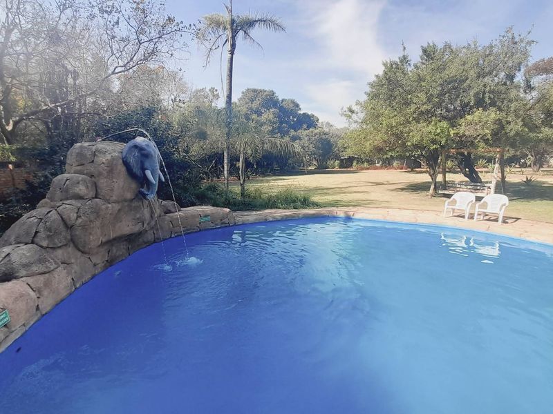 Invest in Paradise: Thriving Lodge with Proven Income! - Photo 10