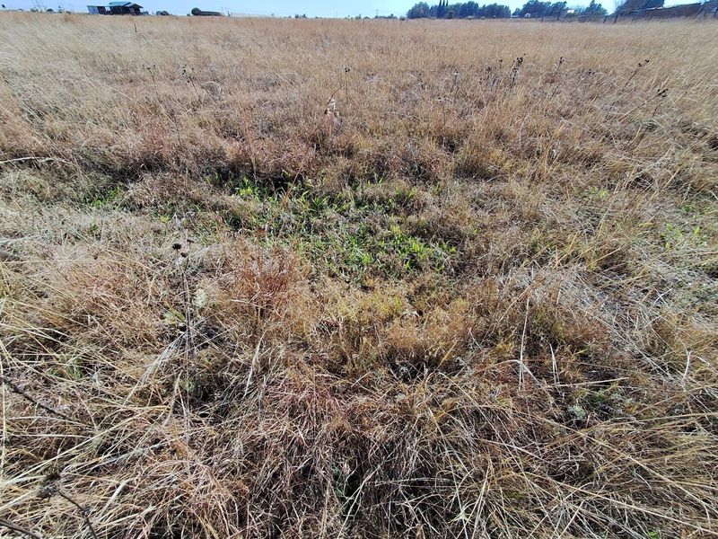 2.1 Hectare Smallholding in Meyerton Rural - Photo 4