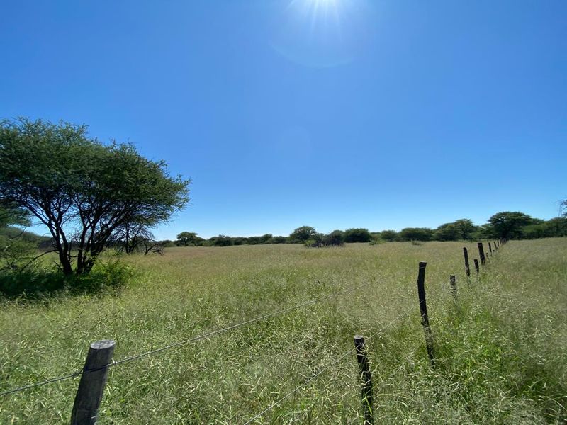 217 Hectares of Peaceful Living - Photo 3