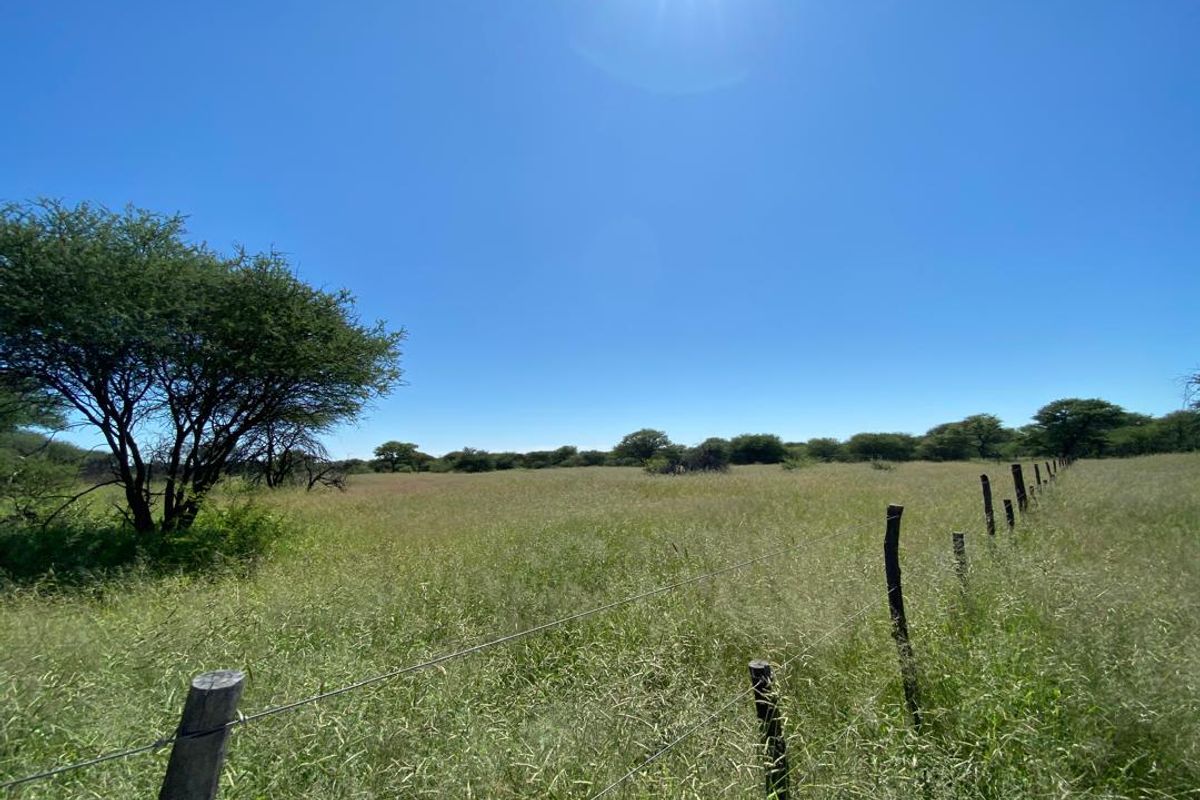 217 Hectares of Peaceful Living - Photo 3