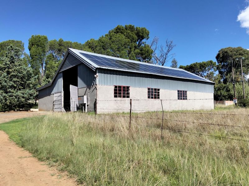 Frm Excellent Opertunity. Include 100 cows.Tractors .Implements. Bakkie. Lots More - Photo 4