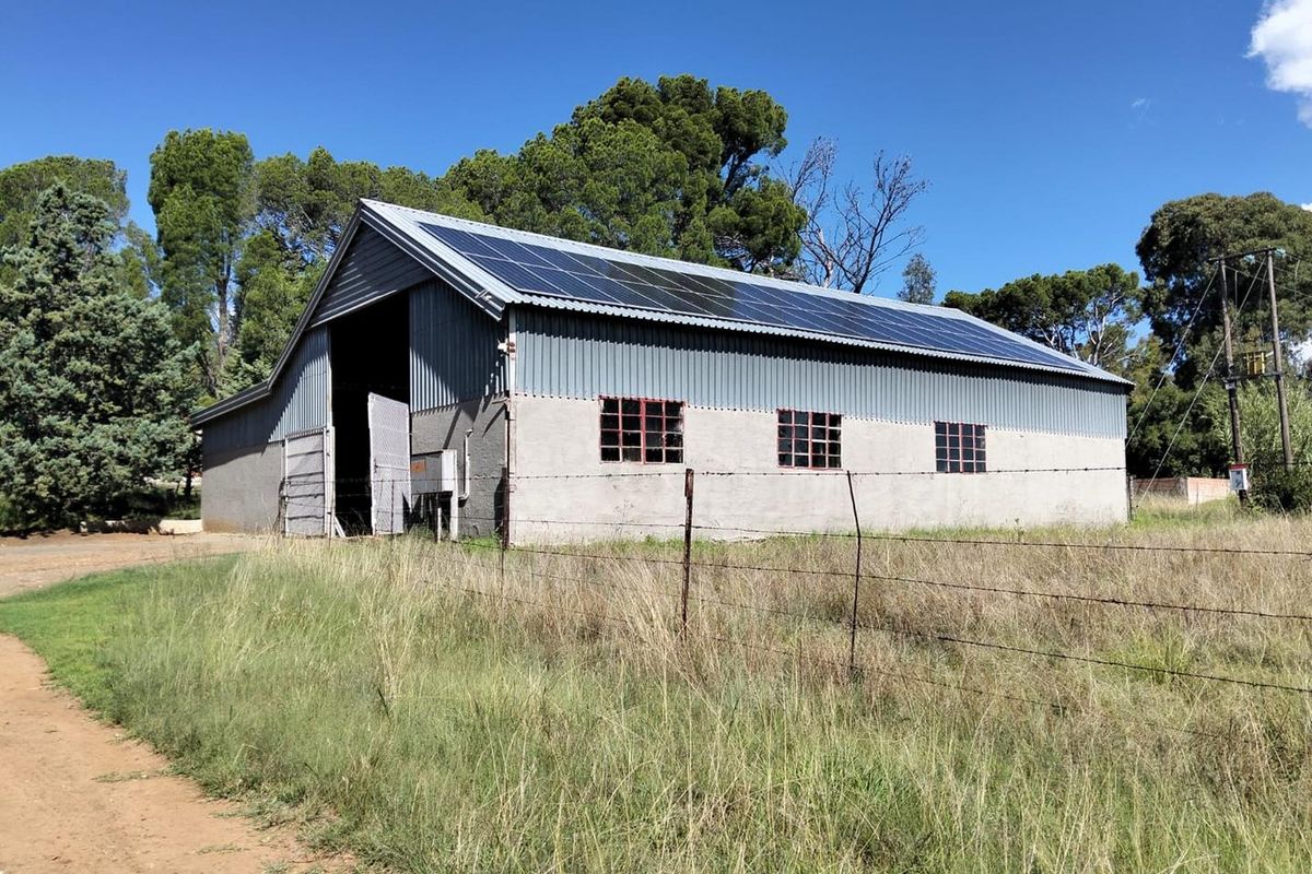 Frm Excellent Opertunity. Include 100 cows.Tractors .Implements. Bakkie. Lots More - Photo 4