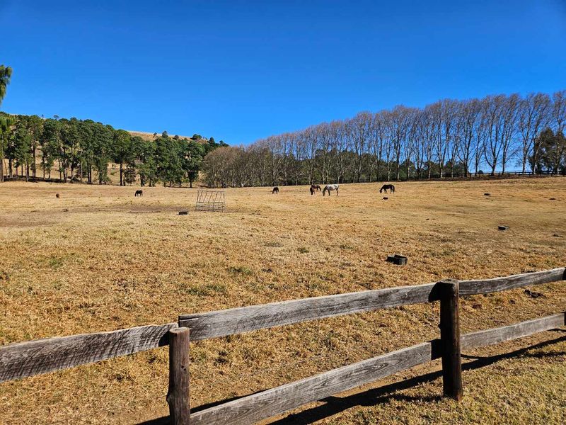 Expansive rural landscape view featuring open pasture land enclosed by traditional timber post and rail fencing under a clear blue sky.