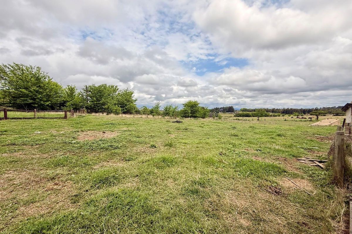 Prime Investment Opportunity – Multi-Income Property on 32.59 Hectares smallholding - Photo 5