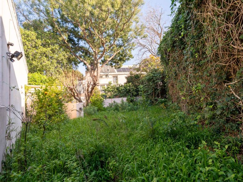 A rear garden area featuring overgrown grass and mature trees, requiring significant landscaping and maintenance to restore the outdoor space.