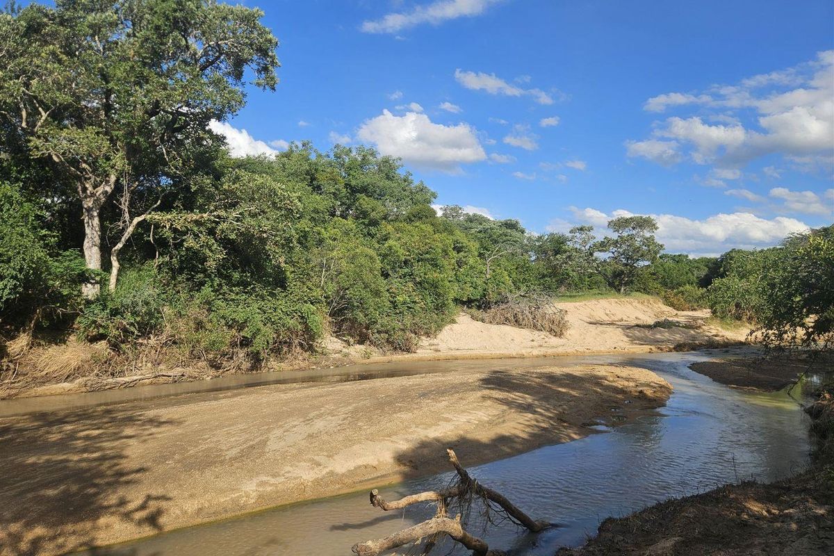 Riverfront stand on Moditlo Wildlife Estate - Photo 2