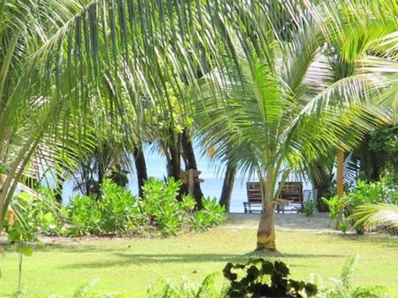 A lush, landscaped garden area featuring mature palm trees and tropical greenery, providing a scenic view towards the coastal area.