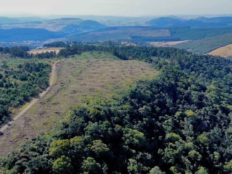 25-Hectare Vacant Land with Forest and Panoramic Views in the Midlands, Howick Rural - Photo 8