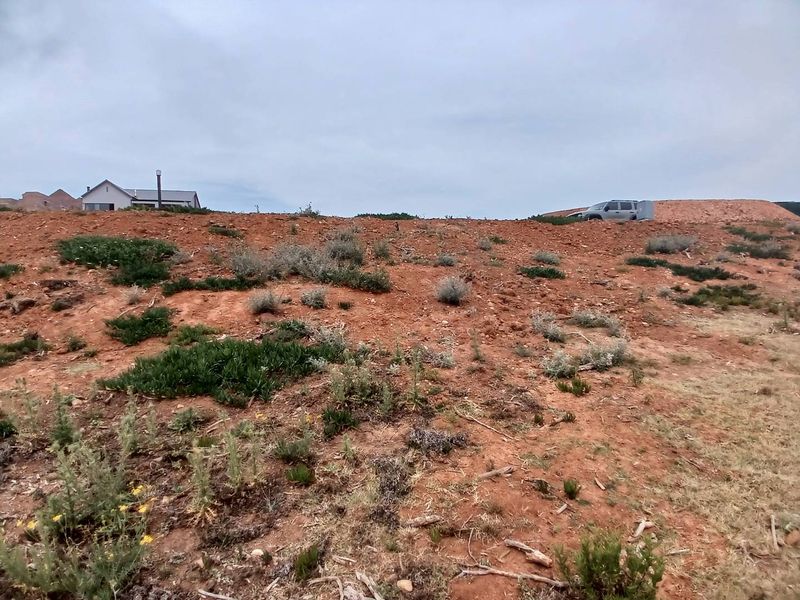 Exclusive 500m2 Stand with Dam Views in Outeniquasbosch Wildlife Estate - Photo 8