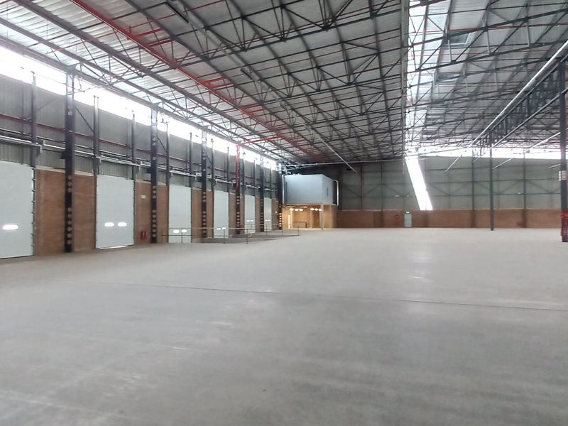 Expansive industrial warehouse space featuring high ceilings with exposed steel trusses, polished concrete flooring, and multiple roller shutter doors for efficient logistics access.