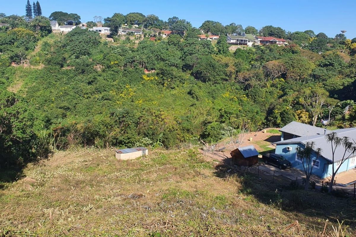 An elevated view of a sloped residential plot featuring natural vegetation and an adjacent property.