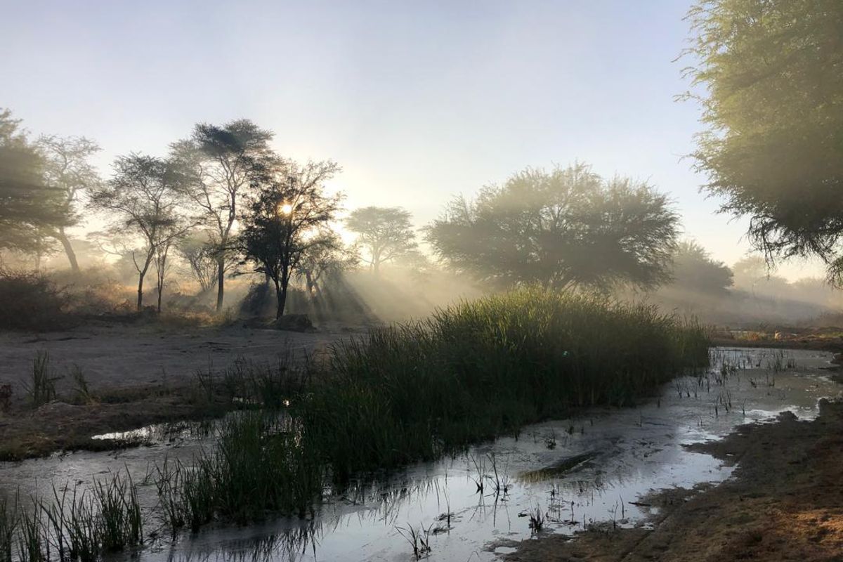 Omaruru- Large Game farm with strong water - Photo 4