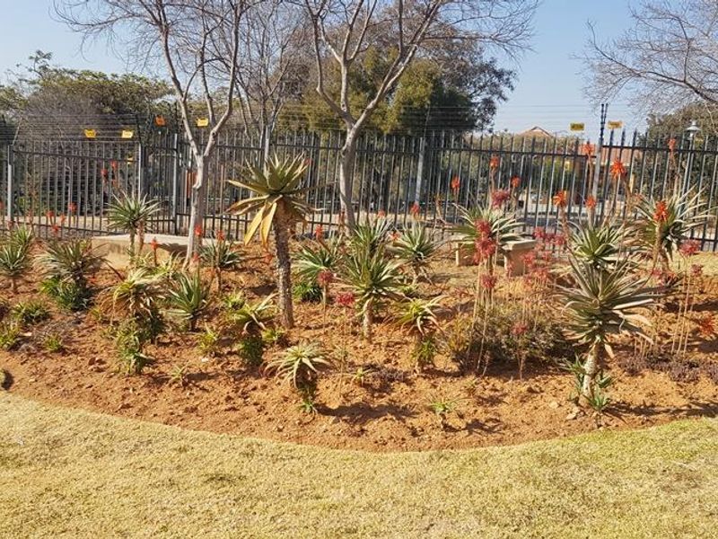 Studio Apartment in Ruimsig - Photo 7