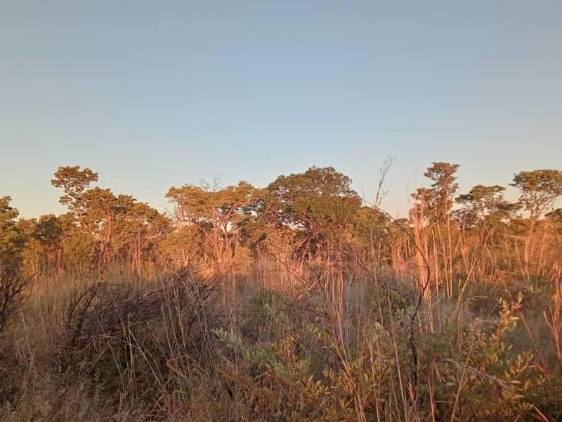 Unlock the Wild – Live the Farm Life! - Photo 5