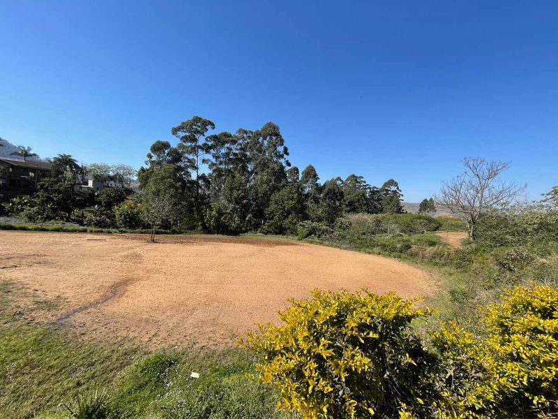 Blank Canvas 4 Hectares of Land in Quiet Cliffdale Area - Photo 2