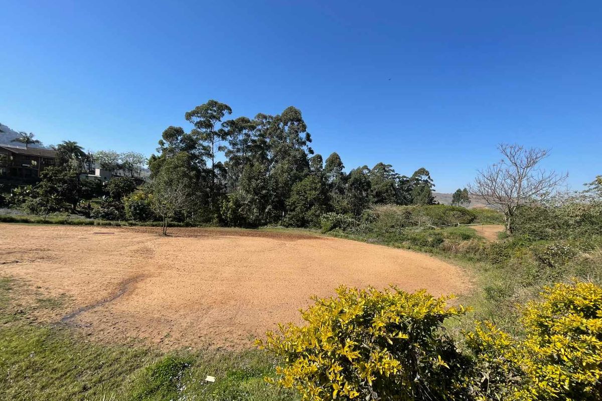 Blank Canvas 4 Hectares of Land in Quiet Cliffdale Area - Photo 2