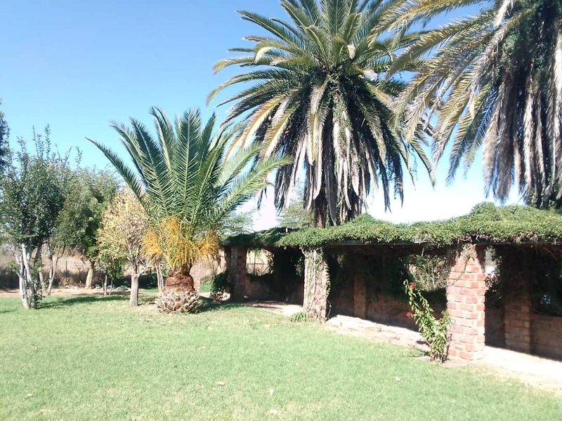 Small Holding for sale - Photo 3