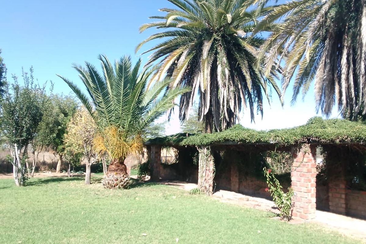 Small Holding for sale - Photo 3