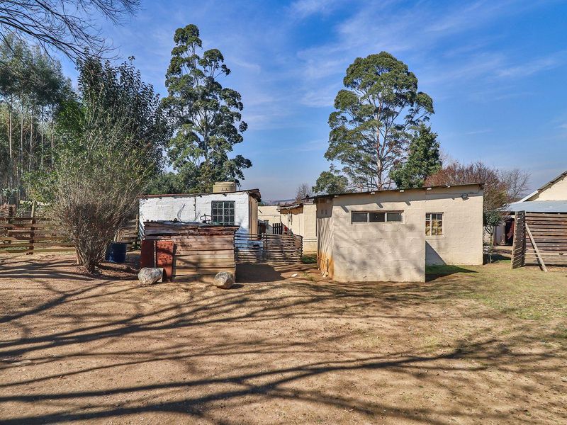 INCOME- GENERATING 2.2 HECTARES SMALLHOLDING IN DARGLE/ KZN MIDLANDS - Photo 8