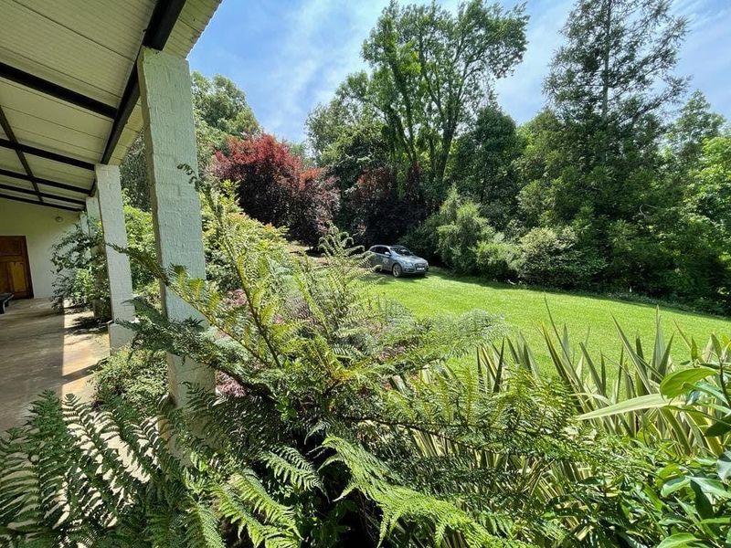 Country Home with Cottages in the Karkloof, Surrounded by Indigenous Forest - Photo 2
