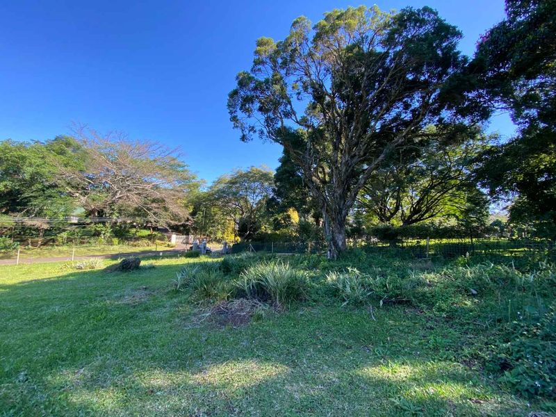 Your Tranquil Escape Awaits in Winston Park! - Photo 2