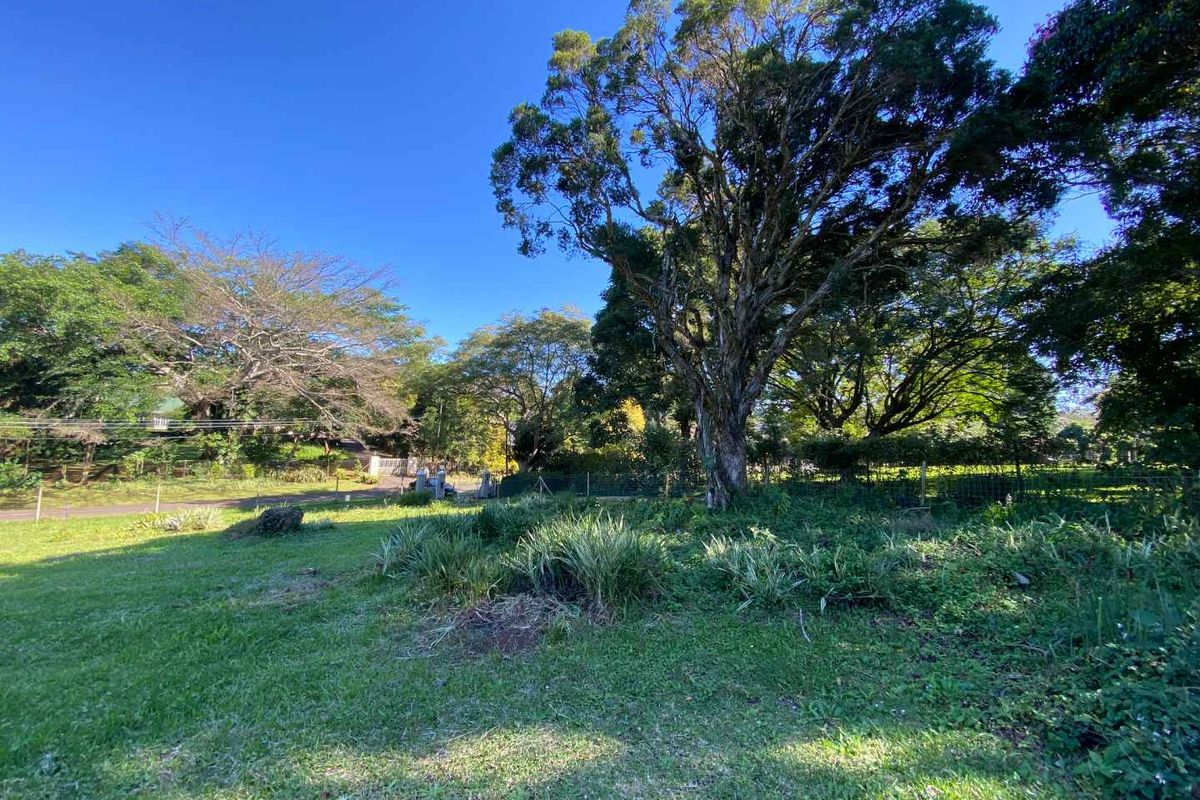 Your Tranquil Escape Awaits in Winston Park! - Photo 2