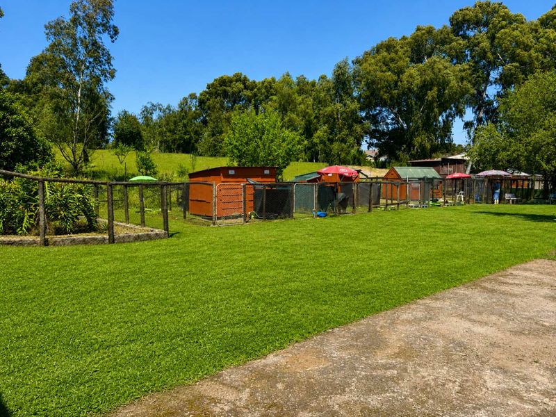 Spacious garden area featuring a concrete pathway, established lawn, and multiple fenced animal enclosures suitable for small holding use.