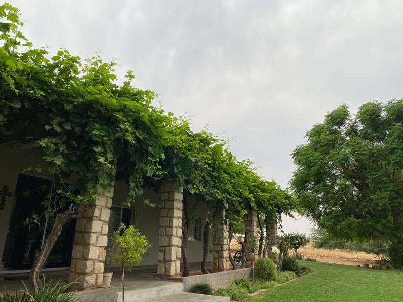 61 Hectares of Irrigated Farming Potential! - Photo 2