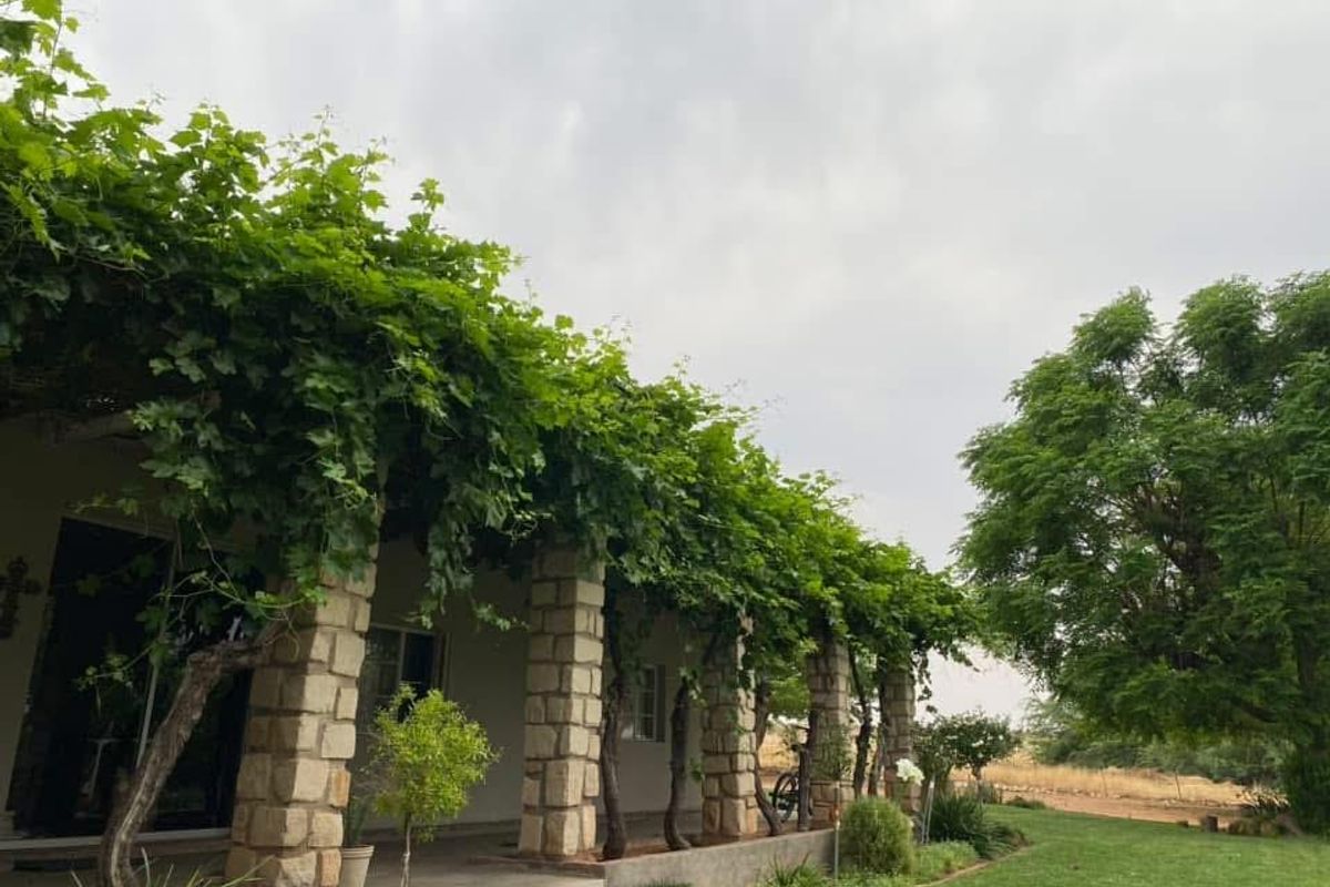 61 Hectares of Irrigated Farming Potential! - Photo 2