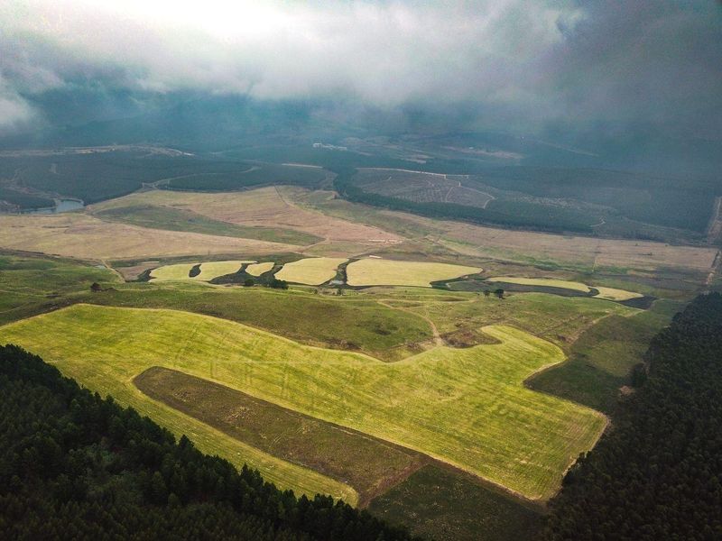 475Ha Multi-Use Farm for Sale – Donnybrook, KwaZulu-Natal - Photo 2