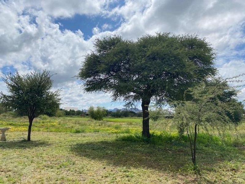 A view of a spacious, grassy residential plot featuring mature trees and natural landscaping.