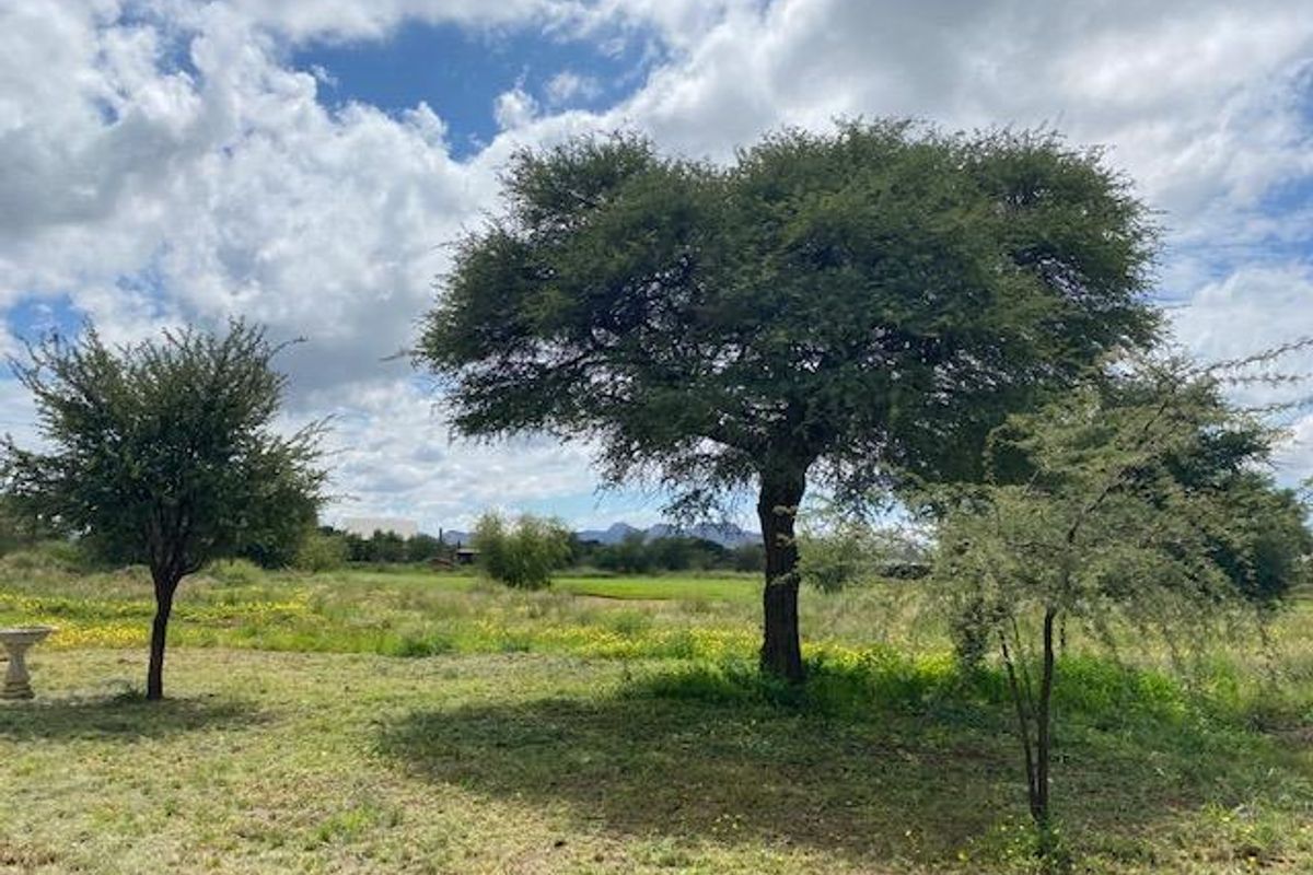 A view of a spacious, grassy residential plot featuring mature trees and natural landscaping.