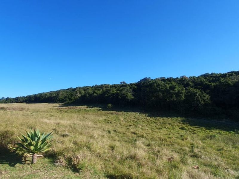 Vacant Plot for Sale - best views in Royalston Wildlife Estate - Photo 3