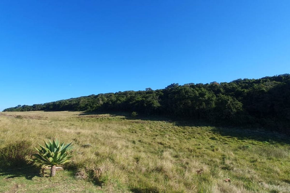 Vacant Plot for Sale - best views in Royalston Wildlife Estate - Photo 3