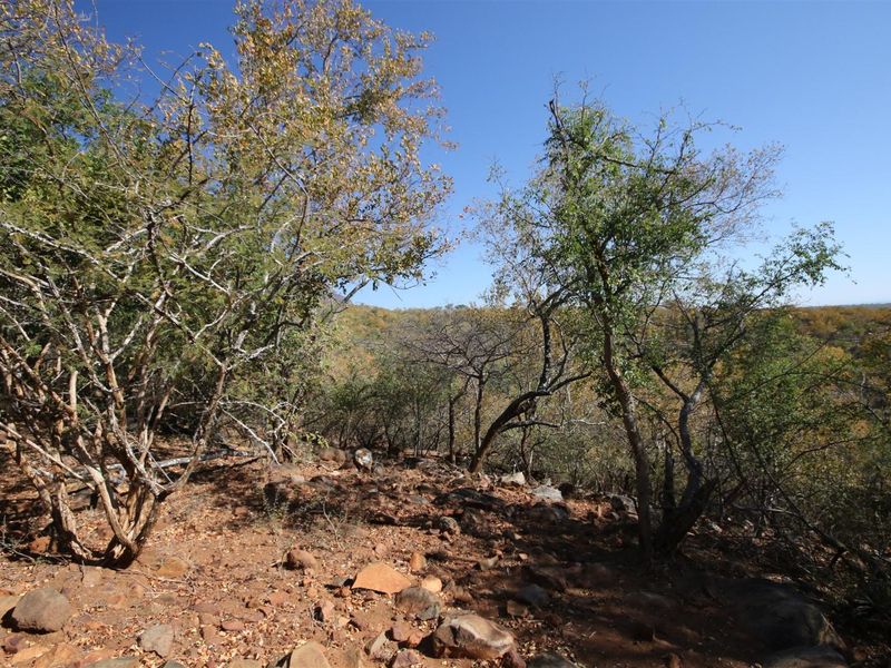 A view of the natural, undeveloped rocky terrain and native trees on this vacant residential land.
