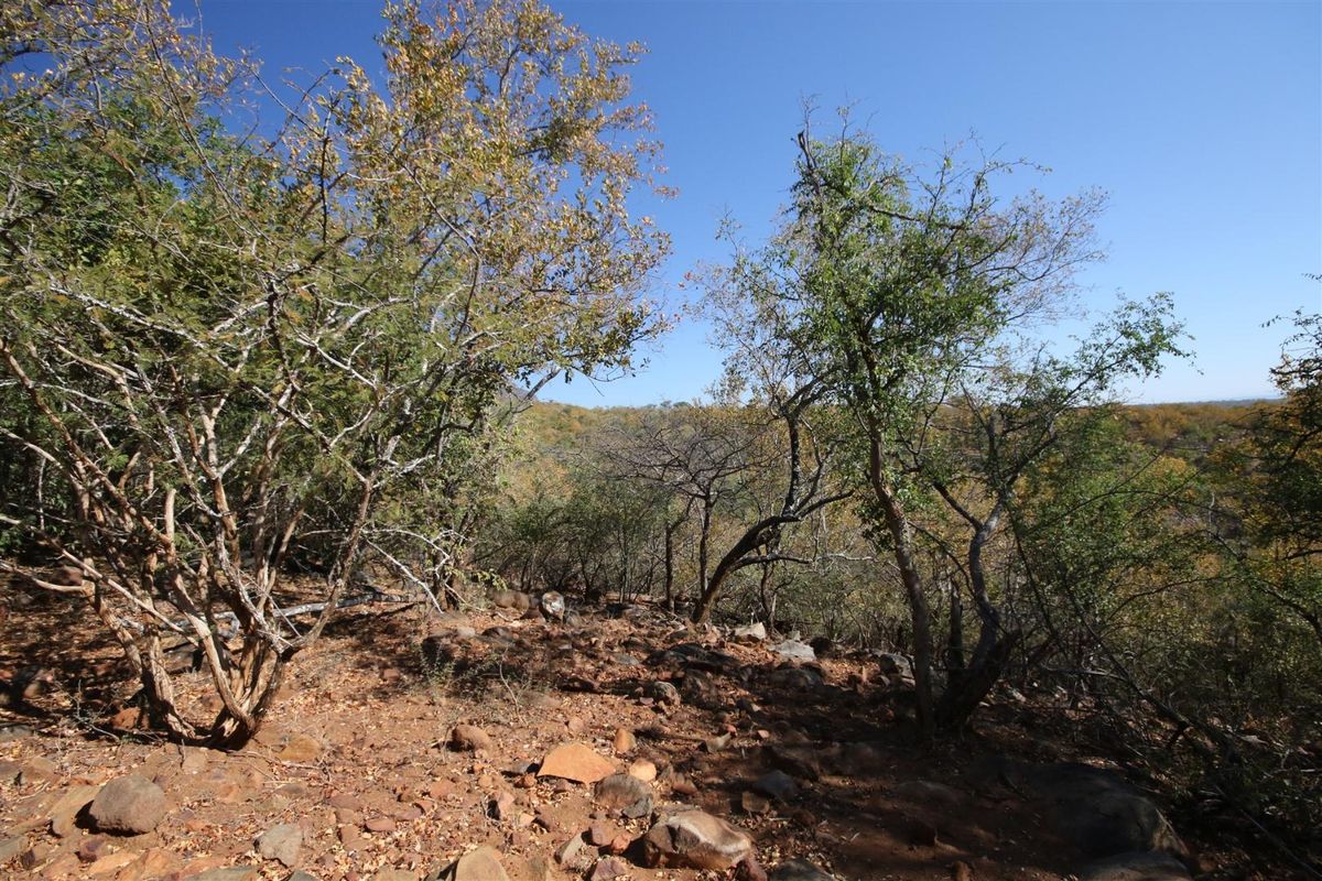 A view of the natural, undeveloped rocky terrain and native trees on this vacant residential land.