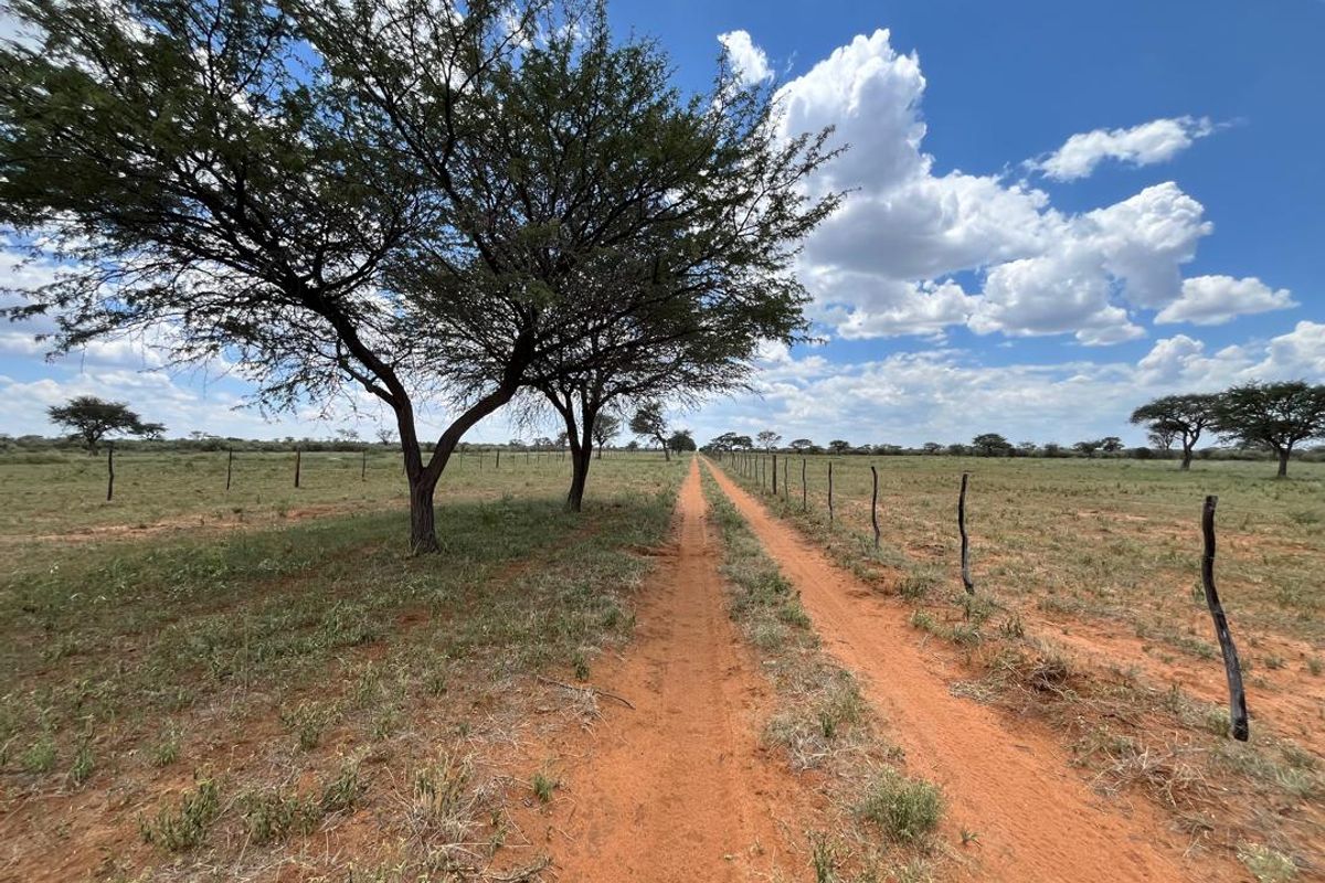 This impressive 4,100-hectare farm, strategically divided into 22 well-equipped camps, offers an exceptional opportunity for serious farming and investment. - Photo 2
