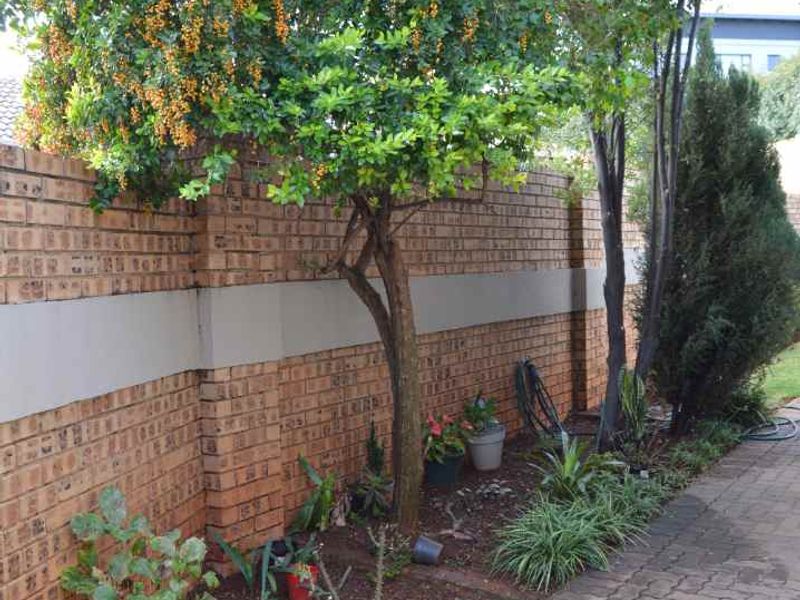 Beautful and modern house in the Wilds Estate - Photo 7