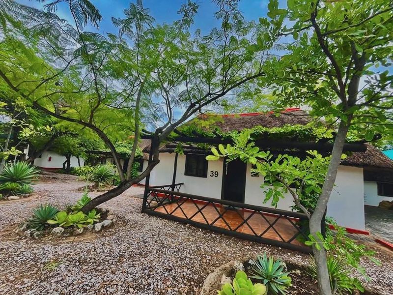 A charming hotel unit featuring a traditional thatched roof, a private tiled patio with timber pergola, and established garden surroundings.